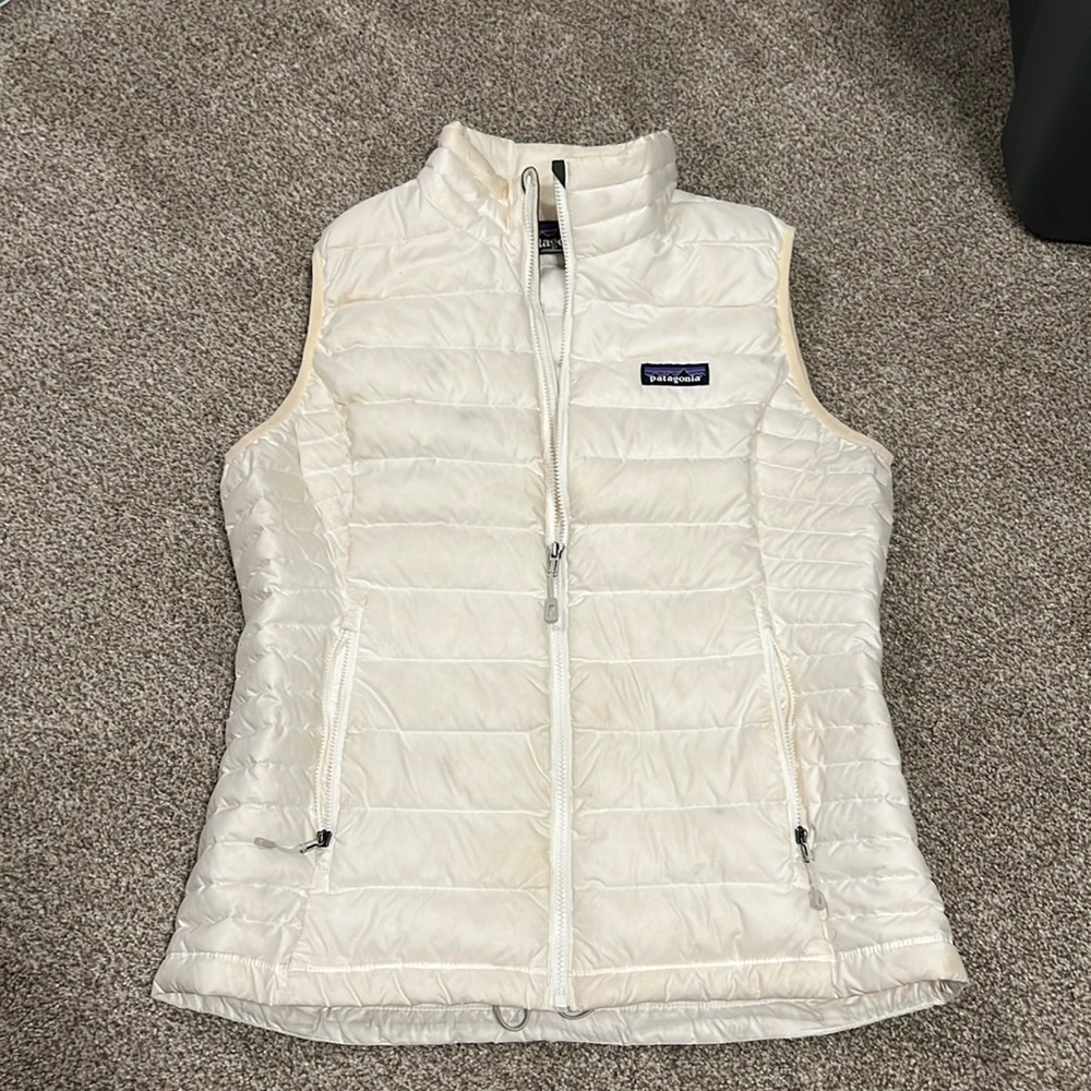 Patagonia down sweater vest.